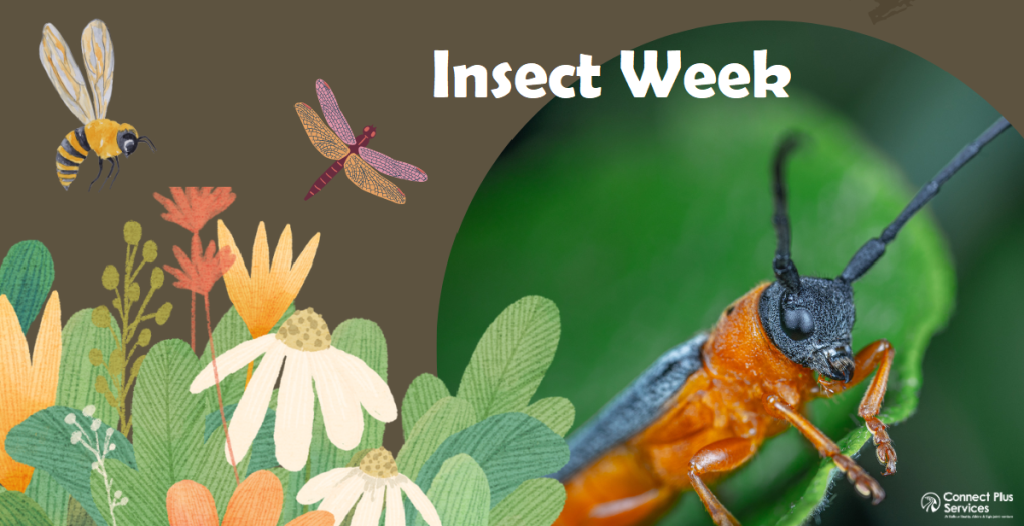 National Insect Week 2023 Connect Plus